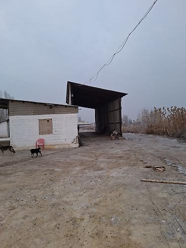 Продажа сельхоз предприятий: Продам большую ферму,расположеную в Сокулукском районе,возле — 3