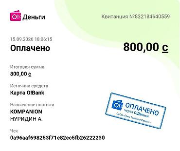 passat passat: Аэродинамические размер 28 дюймов накладки-диски на заднее колесо — 6