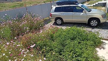 Продажа авто: Toyota Highlander: 2002 г., 3 л, Автомат, Бензин, Кроссовер — 4