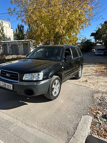 машина форестер: Subaru Forester: 2003 г., 2.5 л, Автомат, Бензин, Универсал — 1