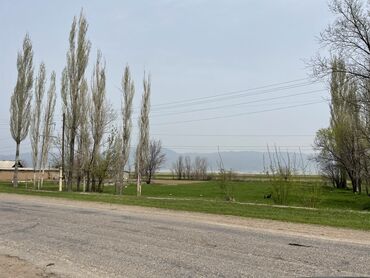 ак ордо аренда: 15 соток, Курулуш, Кызыл китеп