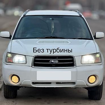 Subaru: Subaru Forester: 2003 г., 2 л, Автомат, Бензин, Кроссовер — 5
