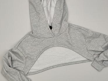 shein bluza: Shein, Bluza z kapturem damska, rozmiar 2XS — 1