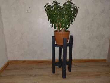 Bitkilər üçün dibçəklər: Taxta bitki stendləri və saksı dayaqları - Material: təbii ağac. Açıq — 14