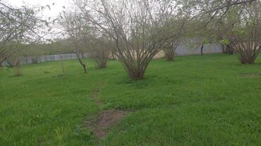 Torpaq sahələrinin satışı: Torpaq satılır Qəbələdə, Daşca kəndində! 🏞️ Təbii gözəlliklərlə -da lalafo.az — 8 Torpaq sahələrinin satışı: Torpaq satılır Qəbələdə, Daşca kəndində! 🏞️ Təbii gözəlliklərlə — 8