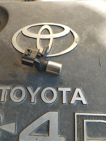животные на р: Датчик положения коленчатого вала (CKP) Toyota/Denso - Оригинальная — 2