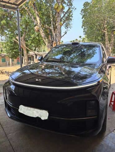 Декоративные накладки: Декоративные накладки Lixiang, Новый, Платная доставка, Самовывоз — 10