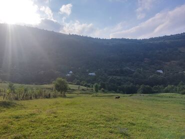 sumqayitda torpaq satilir: 50 sot, Biznes üçün, Mülkiyyətçi, Kupça (Çıxarış)