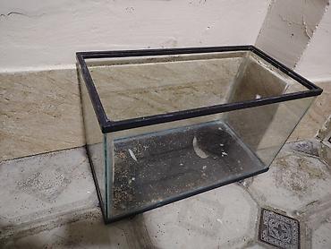 Şüşə akvarium - Material: qalın şüşə korpus, üst və alt hissədə