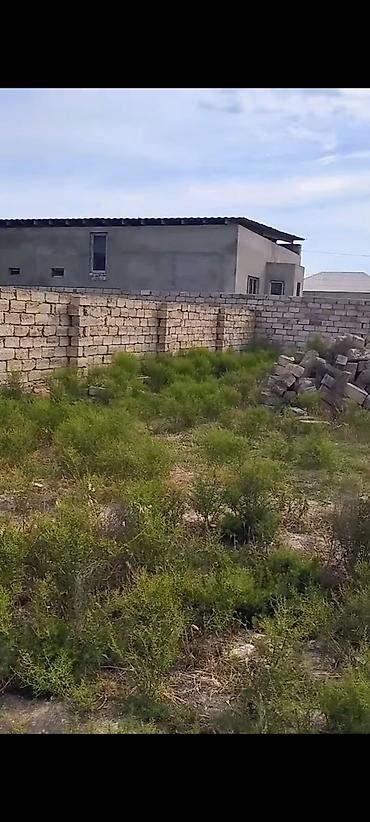 mehemmedi torpaq satilir: 2 sot, Tikinti, Mülkiyyətçi, Bələdiyyə — 2
