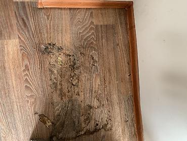 Уборка помещений: Уборка помещений, | Генеральная уборка, Уборка после ремонта, Уборка раз в неделю, | Офисы, Квартиры, Дома — 12