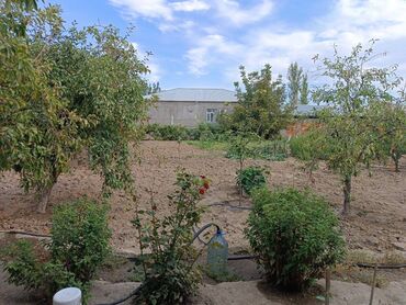 kiraye evler nesimi rayonu: 4 otaqlı, 144 kv. m, Kredit var, Orta təmir