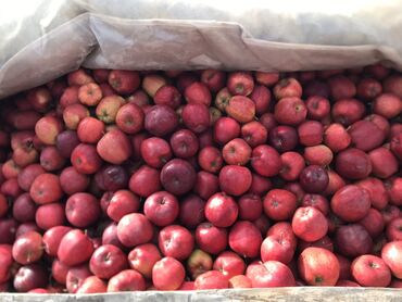 бу наборы ключей: Яблоки Оптом