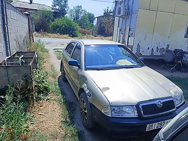 cl class: Skoda Octavia: 2005 г., 1.6 л, Механика, Бензин, Лифтбек — 1