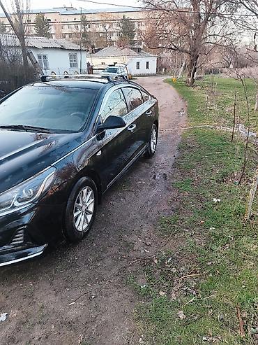 Hyundai: Hyundai Sonata: 2017 г., 2 л, Автомат, Газ, Седан — 8