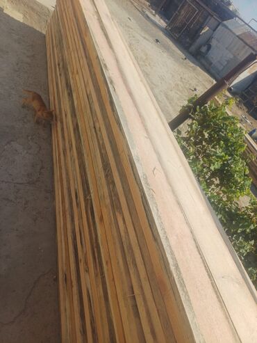 купить бу пластиковые окна: 5.5 kub teze taxdalar satılır 105 dene 3 ün 10 na 4 metre 32 dene 5