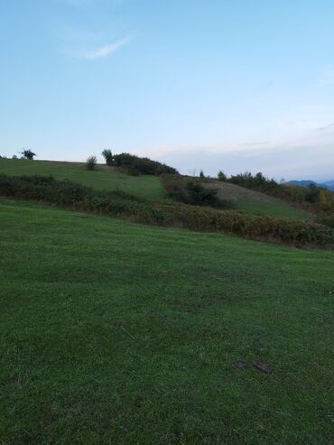 сколько стоит квартира в баку: 25 соток, Для сельского хозяйства, Купчая