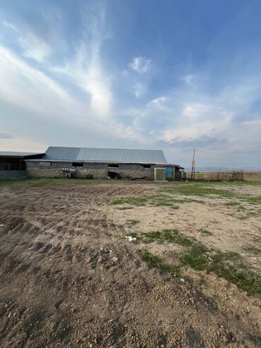 Torpaq sahələrinin satışı: Kənd təsərrüfatı — 9