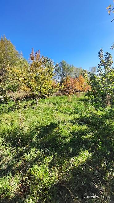 Продажа сельхоз предприятий: Питомник растений, 25 соток, Действующий, Частично с оборудованием, Без коммуникаций — 1