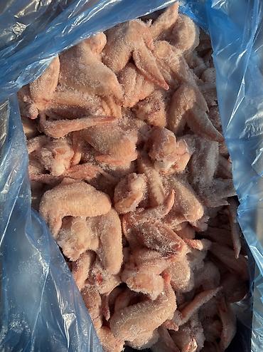 курица домашняя купить: Куриные крылья, замороженные
А категория. Производство Россия 
15кг — 1