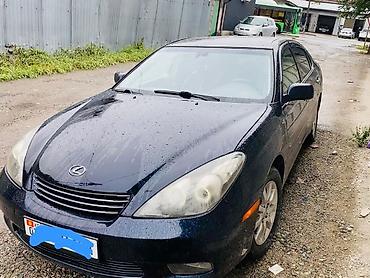 lexus es 2004: Lexus ES: 2004 г., 3.3 л, Автомат, Бензин, Седан — 2