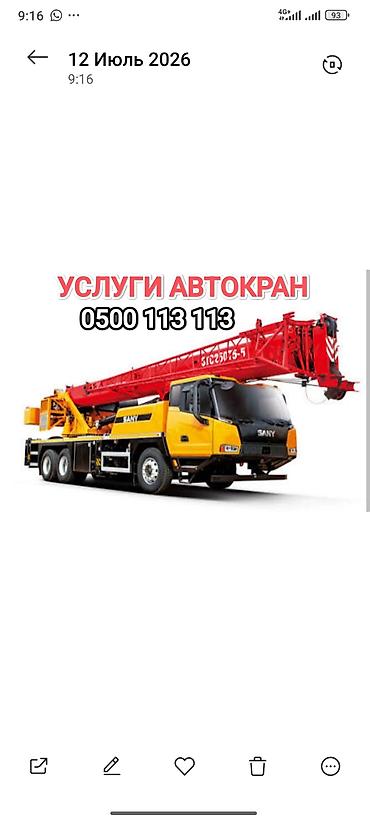 мини краны: Стрела 11 м, 2500 т — 4
