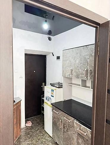 Продажа квартир: Студия, 19 м², Политех 2 этаж, Евроремонт — 5