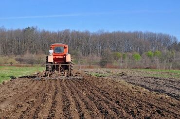 жер беловодск: СДАЮ землю в аренду! Поливная.С водой проблем нет .Рядом есть