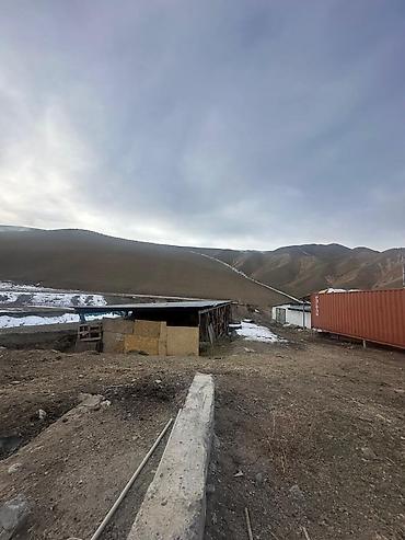 Кыймылсыз мүлк: 30 соток, Бизнес үчүн, Кызыл китеп — 6