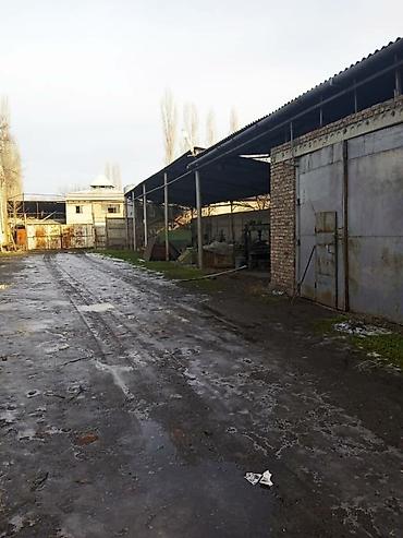 Продажа сельхоз предприятий: Продается производственная база с фермой свинарником at lalafo.kg — 1 Продажа сельхоз предприятий: Продается производственная база с фермой свинарником — 1