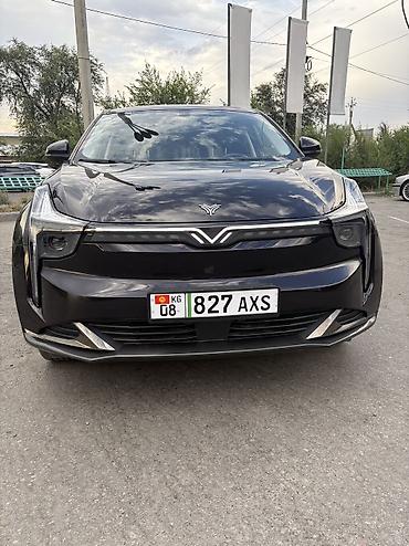 hozon: Hozon Neta U: 2023 г., 0.1 л, Автомат, Электромобиль, Кроссовер — 1