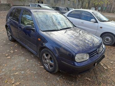 Volkswagen: Volkswagen Golf: 1998 г., 1.6 л, Автомат, Бензин, Кроссовер