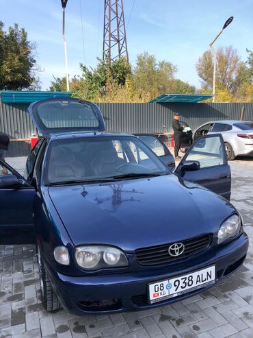 торпеда е34: Toyota Corolla: 2001 г., Механика, Бензин, Хетчбек