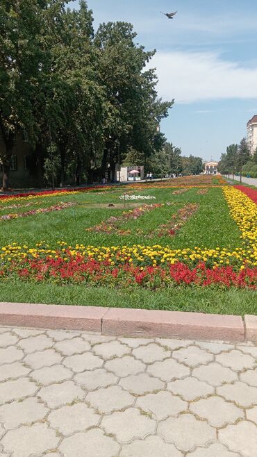 цветы для украшения: Декор для дома и сада, Кашпо и цветники
