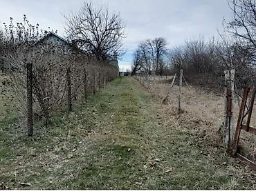 Kupujem kuću: Vikendica u Vincima pored Dunava sa velikim placem i uređenim — 7