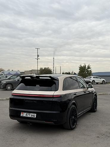купить краскопульт для покраски авто: Lixiang L7: 2024 г., Электромобиль — 5