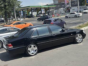 210 4.3: Mercedes-Benz S-Class: 1996 г., 5 л, Автомат, Бензин, Седан — 10
