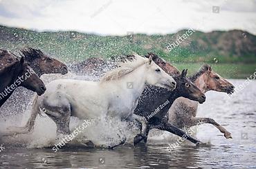 Kağız oboylar: Kağız oboylar — 27