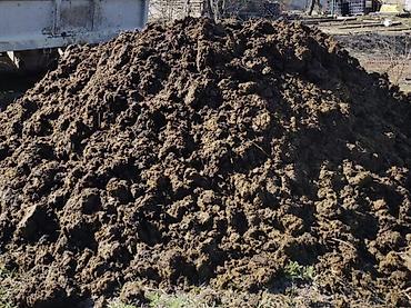 сыворотка молочная: Навоз органический для огорода и сада, а так же для того чтобы топить — 1