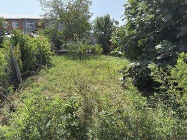 продажа и аренда домов: 4 соток, Для сельского хозяйства, Возможен обмен, Купчая, Бялядия (муниципалитет), Техпаспорт
