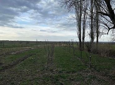 Продажа другой коммерческой недвижимости: 📌"В урочище ""Широкий"" Нарзан а/о продается кошара, дом из 4-х комнат — 12