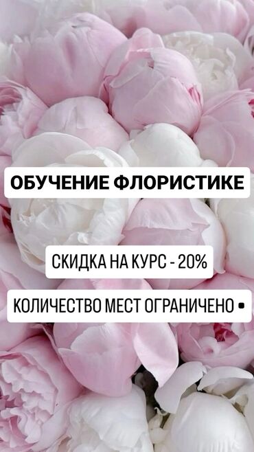 курсы юриста: Девочки🙌По вашим частым запросам касаемо скидки на курс. Открываю