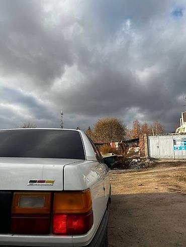 Audi: Audi 100: 1989 г., 1.8 л, Бензин, Седан — 4