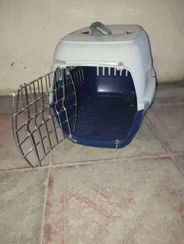 ev qizdiran: Pişik evi 30 AZN