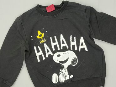 klapki dziecięce: Sweatshirt, 5-6 years, 110-116 cm, condition - Good