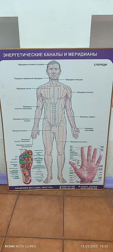 Массаж: Массаж | Лечебный массаж — 4