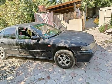 хонда аккорд 93 год: Honda Accord: 1997 г., 2 л, Механика, Бензин, Седан — 1