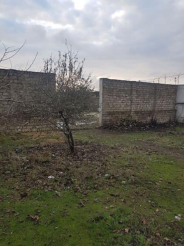 Torpaq sahələrinin satışı: 9 sot, Tikinti, Mülkiyyətçi, Kupça (Çıxarış) — 6