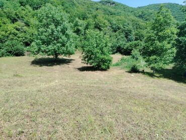 Torpaq sahələrinin satışı: Tikinti — 20