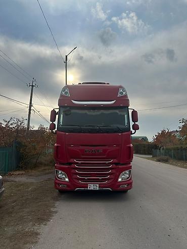 Тягачи: Тягач, DAF, 2018 г., Шторный — 3